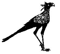 The Secretary Bird, Christine McMullan